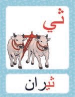 معاينة بطاقات الأصوات مقاس صغير 10/13 — الصفحة 55